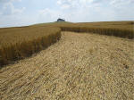 South Field, Wiltshire crop circle, aerial photo 56
