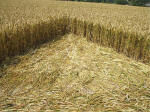 South Field, Wiltshire crop circle, aerial photo 50
