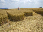 South Field, Wiltshire crop circle, aerial photo 49
