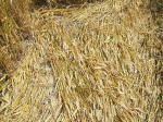 South Field, Wiltshire crop circle, aerial photo 73