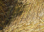 South Field, Wiltshire crop circle, aerial photo 55