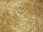 South Field, Wiltshire crop circle, aerial photo 69