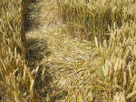 South Field, Wiltshire crop circle, aerial photo 70
