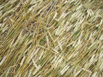 South Field, Wiltshire crop circle, aerial photo 83