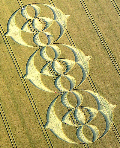 South Field, Wiltshire crop circle, aerial photo 19