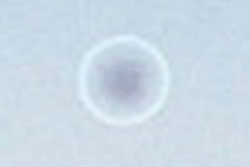 South Field, Wiltshire crop circle, aerial photo 95