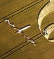 South Field, Wiltshire crop circle, aerial photo 101