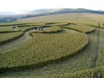 South Field, Wiltshire crop circle, aerial photo 7