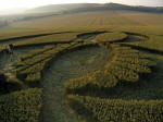 South Field, Wiltshire crop circle, aerial photo 10