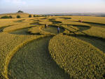 South Field, Wiltshire crop circle, aerial photo 6