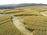 South Field, Wiltshire crop circle, aerial photo 14