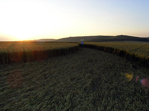 South Field, Wiltshire crop circle, aerial photo 5
