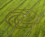 Waden Hill, Wiltshire crop circle, aerial photo 16