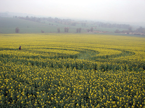 Waden Hill, Wiltshire crop circle, aerial photo 13