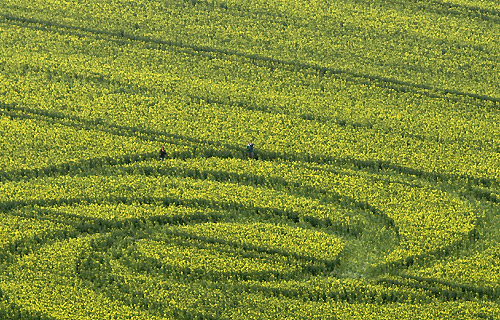 Waden Hill, Wiltshire crop circle, aerial photo 10