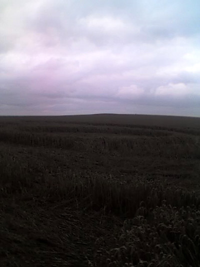 Rooksgrove Farm, Hampshire crop circle, aerial photo 2