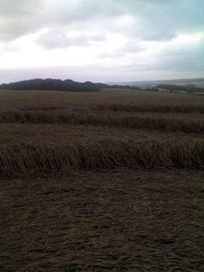 Rooksgrove Farm, Hampshire crop circle, aerial photo 5