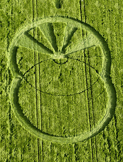 West Kennett, Wiltshire crop circle, aerial photo 8