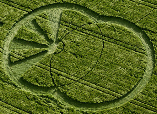 West Kennett, Wiltshire crop circle, aerial photo 9