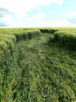 West Kennett, Wiltshire crop circle, aerial photo 11