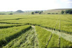 West Kennett, Wiltshire crop circle, aerial photo 5