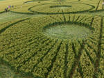 Hillside Farm, Wiltshire crop circle, aerial photo 54