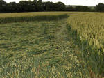 Hillside Farm, Wiltshire crop circle, aerial photo 57
