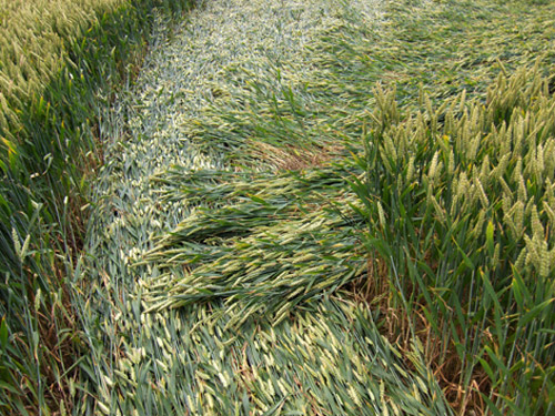 Hillside Farm, Wiltshire crop circle, aerial photo 50