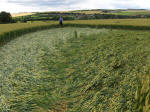 Hillside Farm, Wiltshire crop circle, aerial photo 62