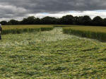 Hillside Farm, Wiltshire crop circle, aerial photo 66