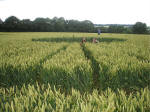 Hillside Farm, Wiltshire crop circle, aerial photo 22