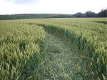 Hillside Farm, Wiltshire crop circle, aerial photo 26