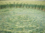 Hillside Farm, Wiltshire crop circle, aerial photo 25