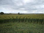 Hillside Farm, Wiltshire crop circle, aerial photo 23