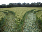 Hillside Farm, Wiltshire crop circle, aerial photo 32