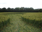 Hillside Farm, Wiltshire crop circle, aerial photo 31