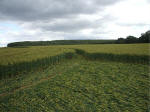 Hillside Farm, Wiltshire crop circle, aerial photo 30