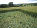 Hillside Farm, Wiltshire crop circle, aerial photo 29
