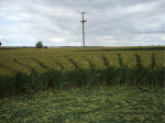 Hillside Farm, Wiltshire crop circle, aerial photo 39