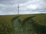Hillside Farm, Wiltshire crop circle, aerial photo 34