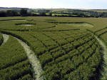 Hillside Farm, Wiltshire crop circle, aerial photo 7