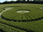 Hillside Farm, Wiltshire crop circle, aerial photo 6