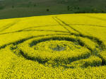 Below the White Horse, Wiltshire crop circle, aerial photo 18