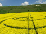 Below the White Horse, Wiltshire crop circle, aerial photo 19