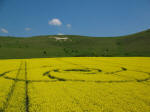 Below the White Horse, Wiltshire crop circle, aerial photo 8