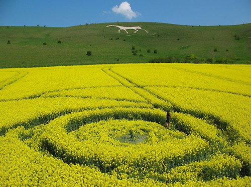 Below the White Horse, Wiltshire crop circle, aerial photo 7
