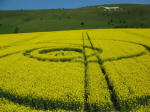 Below the White Horse, Wiltshire crop circle, aerial photo 9