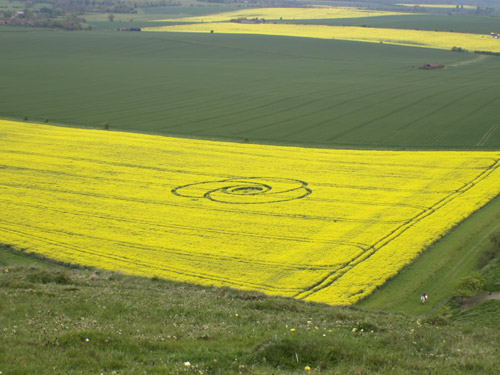 Below the White Horse, Wiltshire crop circle, aerial photo 5