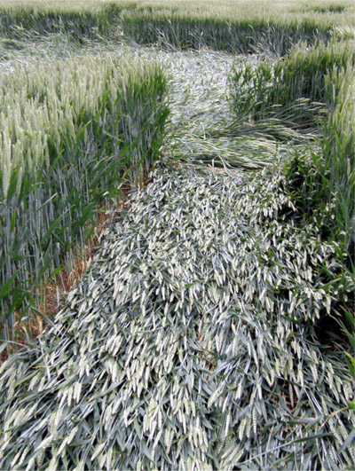 Winterbourne Bassett, Wiltshire crop circle, aerial photo 12