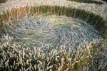 Avebury Manor, Wiltshire crop circle, aerial photo 35